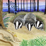 painting of badgers. Artist me.
