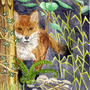 Fox lurking