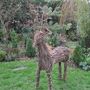 New deer for the garden
