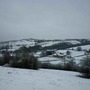 fields at the back of us