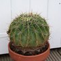 Picture_003