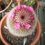 Picture_128