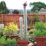 Picture_018