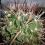 Picture_089