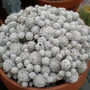 Picture_087