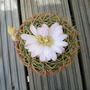 Picture_124