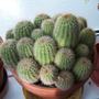 Picture_023