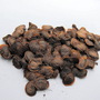 Honesty Flower Seeds 