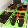 Coming along great.