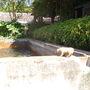 This originally were public baths, now restored as fountains...look at the pig decoration!