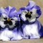 flower dogs