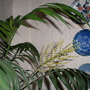 After opening