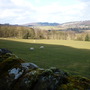 across the fields
