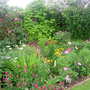 New_planting__july_2