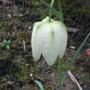 9th_april_2010_003