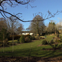 Garden from "right down t'bottom".