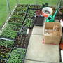 keeping an eye on the plants
