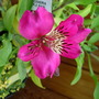 Dscn5169