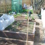 My veg garden photo 3