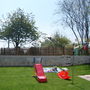 My veg garden photo 5