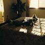 3 muscateers
