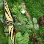 Top View