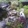 My friend Stan's Pond