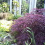 My friends Garden