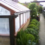 My friends garden / greenhouse
