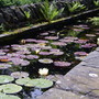 Raised water feature at York Gate like a rill