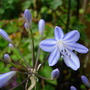 Dscn0992