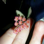 Hoya