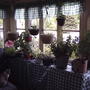 2008-05-23_houseplants_enjoting_the_porch