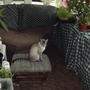 2008-05-23_tequila_the_evil_plant_muncher