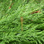 044.jpg