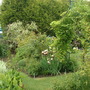 May_24th_2008_006