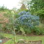 May_24th_2008_007