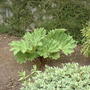 May_24th_2008_017