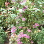 May_24th_2008_009