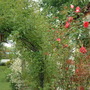 May_24th_2008_035