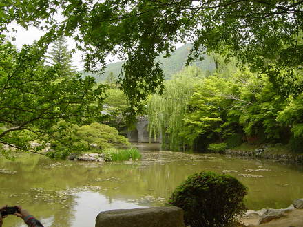 A public garden in South Korea.May 2008