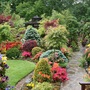 Upper_garden__2__25_may_08