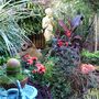 Dalias, grasses and a canna in front of the wildlife pond.