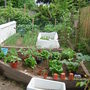 The garden is alive!