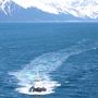 Alans_holiday_pics_272