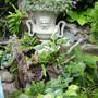 The classical urn.June 2008.