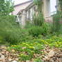 2008_05_lucenay___photos_by_nathan_036
