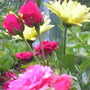 2008_05_lucenay___photos_by_nathan_028