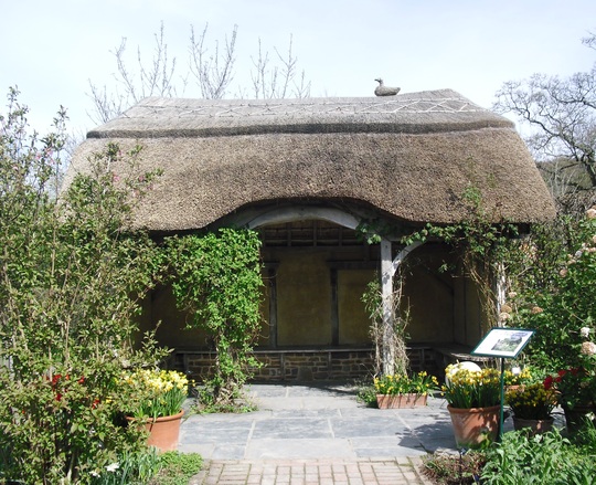 In the cottage garden at RHS Rosemoor