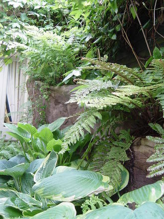 The rocky outcrop.June 2008